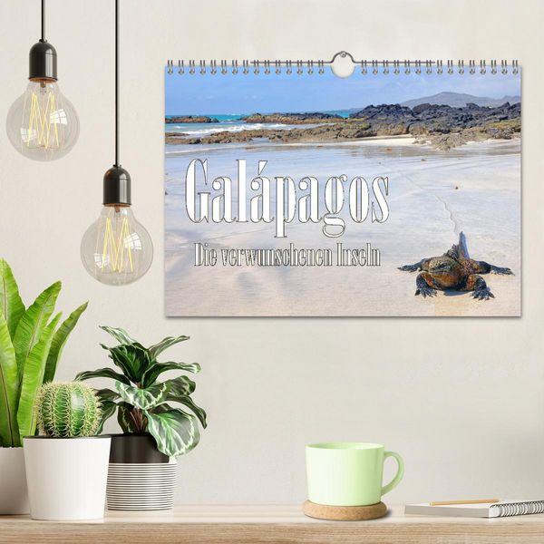 Produktbild: Gal&aacute;pagos - Die verwunschenen Inseln (Wandkalender 2026 DIN A4 quer), CALVENDO Monatskalender