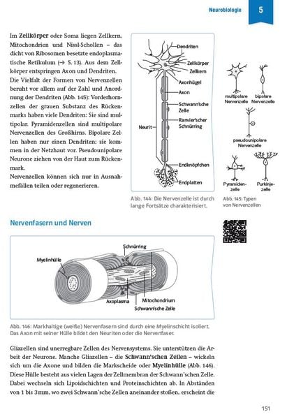 Produktbild: Klett Sicher im Abi Oberstufen-Wissen Biologie