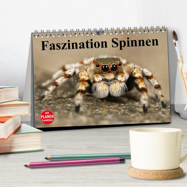 Produktbild: Faszination Spinnen (Tischkalender 2026 DIN A5 quer), CALVENDO Monatskalender