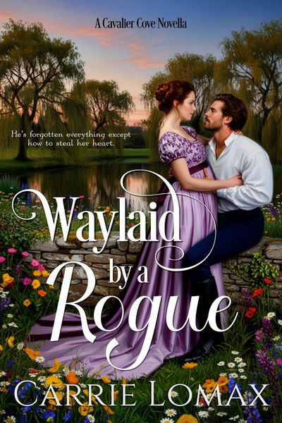 Produktbild: Waylaid by a Rogue