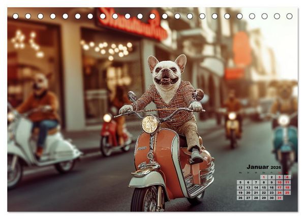 Produktbild: S&uuml;&szlig;e Hunde cruisen - durch das Jahr mit dem Hundekalender (Tischkalender 2026 DIN A5 quer), CALVENDO Monatskalender