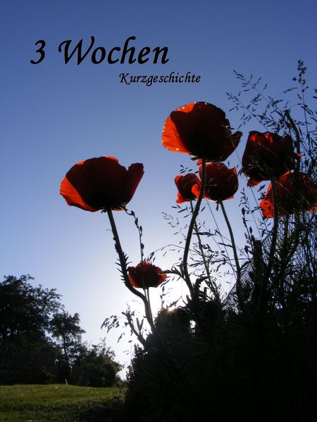 Produktbild: Drei Wochen