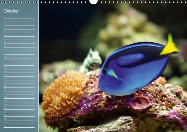 Produktbild: Bunte Riffbewohner - Fische, Anemonen und noch viel mehr (Wandkalender immerw&auml;hrend DIN A3 quer)