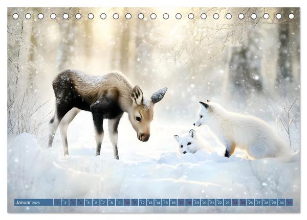 Produktbild: Emil und die Wunder der Natur (Tischkalender 2026 DIN A5 quer), CALVENDO Monatskalender