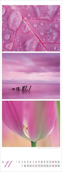 Produktbild: Colours of Nature - Triplets 2027