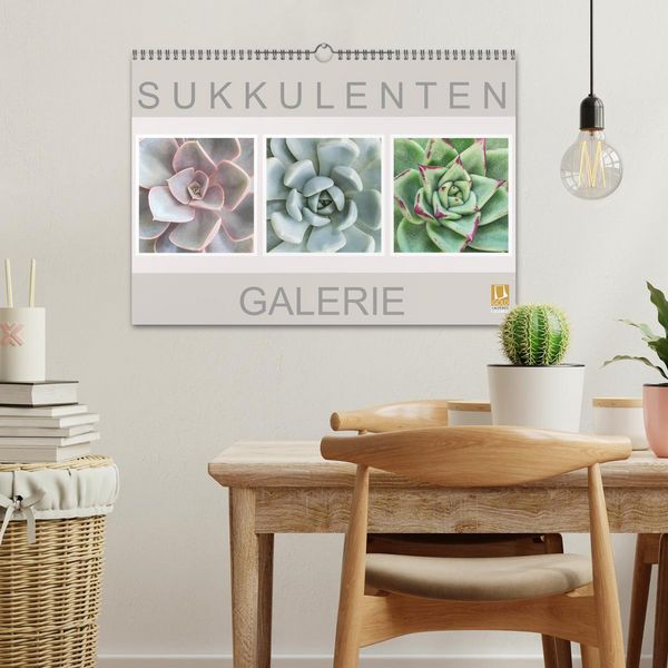 Produktbild: Sukkulenten Galerie (Wandkalender 2026 DIN A3 quer), CALVENDO Monatskalender