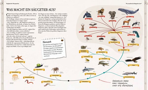 Produktbild: Verborgene Welt der Megafauna