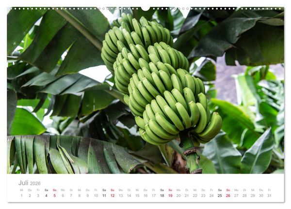 Produktbild: La Gomera &ndash; Die gr&uuml;ne Perle der Kanaren. (Wandkalender 2026 DIN A2 quer), CALVENDO Monatskalender