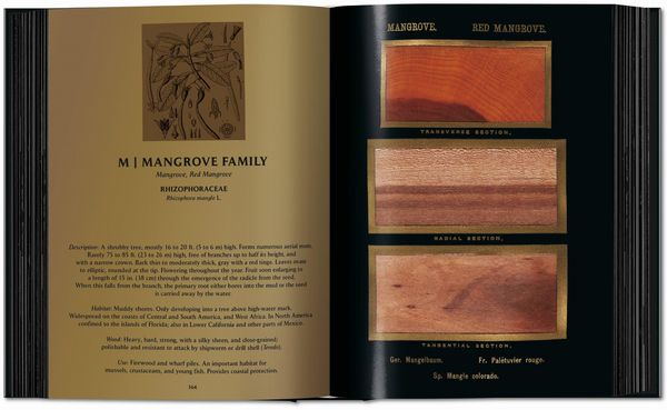 Produktbild: Romeyn B. Hough