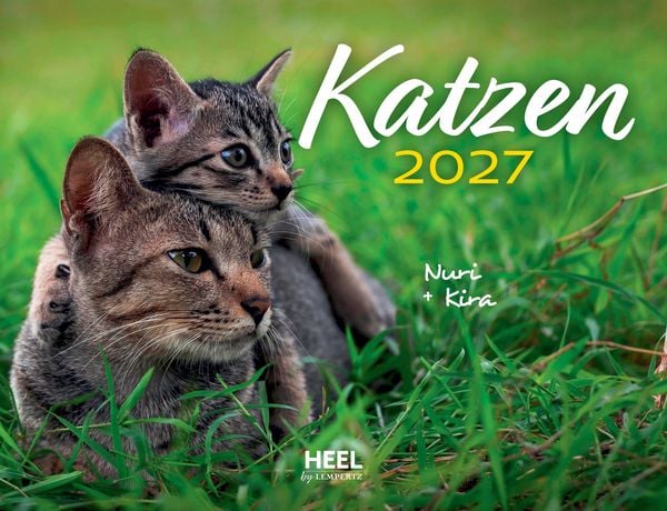 Produktbild: Katzen 2027 Eintragkalender