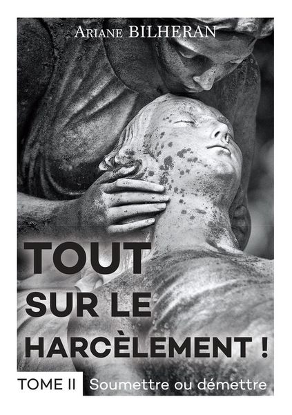 Produktbild: Tout sur le harcelement tome ii