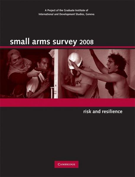 Produktbild: Small Arms Survey 2008