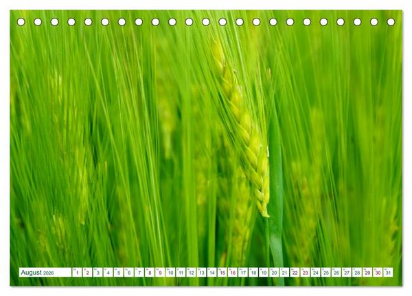 Produktbild: GR&Uuml;N . Die Kraft der Natur (Tischkalender 2026 DIN A5 quer), CALVENDO Monatskalender