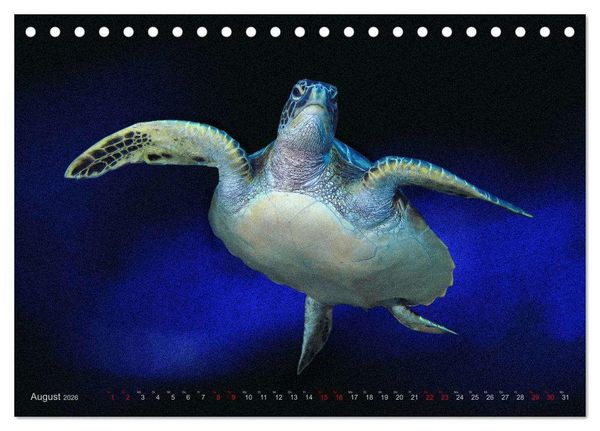 Produktbild: Artwork Unterwasser - Erlebnis Tauchen (Tischkalender 2026 DIN A5 quer), CALVENDO Monatskalender