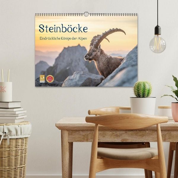 Produktbild: Steinb&ouml;cke - Eindr&uuml;ckliche K&ouml;nige der Alpen (Wandkalender 2027 DIN A3 quer), CALVENDO Monatskalender