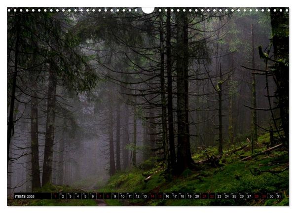 Produktbild: Lumi&egrave;res des Vosges (Calendrier mural 2026 DIN A3 vertical), CALVENDO calendrier mensuel