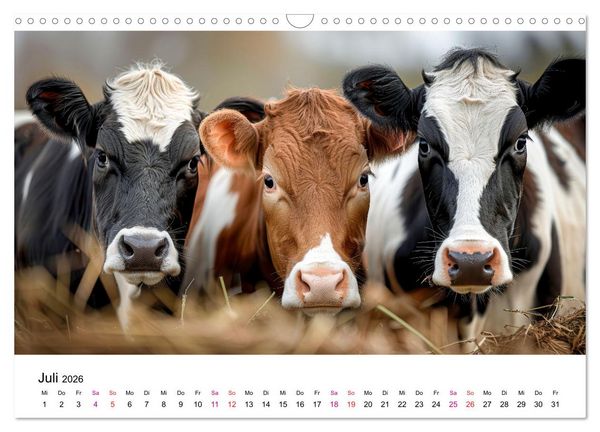 Produktbild: Holsteiner Sch&ouml;nheiten (Wandkalender 2026 DIN A3 quer), CALVENDO Monatskalender