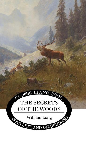 Produktbild: Secrets of the Woods