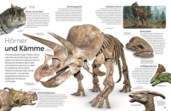Produktbild: memo Wissen. Dinosaurier