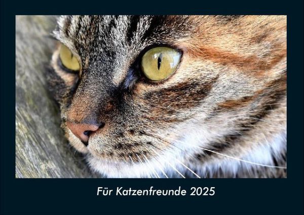 Für Katzenfreunde 2025 Fotokalender DIN A4