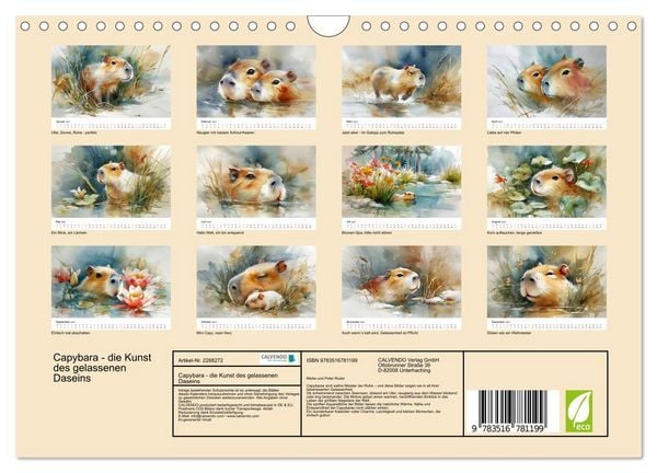 Produktbild: Capybara - die Kunst des gelassenen Daseins (Wandkalender 2027 DIN A4 quer), CALVENDO Monatskalender
