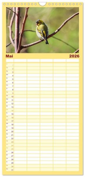 Produktbild: Familienplaner 2026 - Erlenzeisige mit 5 Spalten (Wandkalender, 21 x 45 cm) CALVENDO