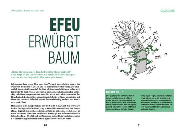Produktbild: Efeu erw&uuml;rgt Baum