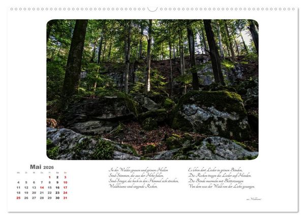 Produktbild: Max Dauthendey - Mit dem Wald durchs Jahr (hochwertiger Premium Wandkalender 2026 DIN A2 quer), Kunstdruck in Hochglanz