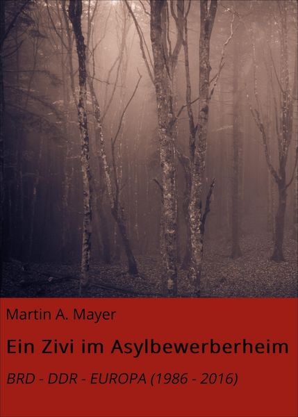Produktbild: Ein Zivi im Asylbewerberheim