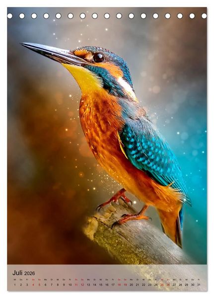 Produktbild: Schillernder Eisvogel (Tischkalender 2026 DIN A5 hoch), CALVENDO Monatskalender