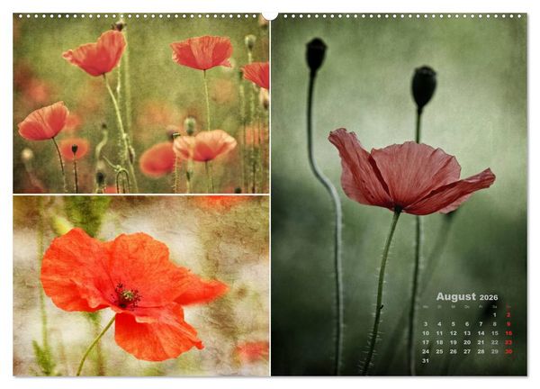 Produktbild: Blumenreise 2026 (Wandkalender 2026 DIN A2 quer), CALVENDO Monatskalender