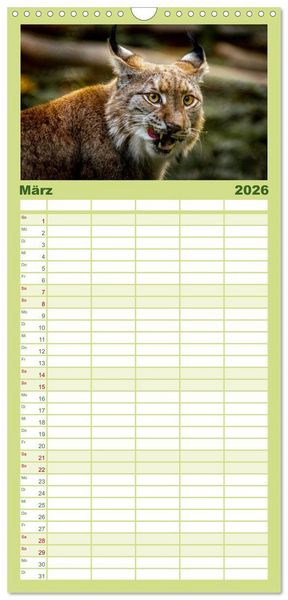 Produktbild: Familienplaner 2026 - Der Luchs - Begegnungen mit einer Raubkatze mit 5 Spalten (Wandkalender, 21 x 45 cm) CALVENDO