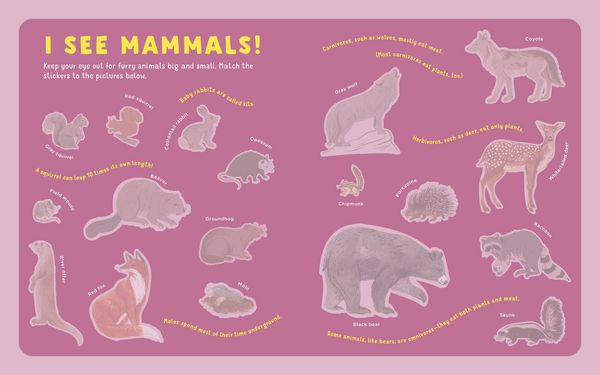 Produktbild: Backpack Explorer Stickers: Nature Adventure