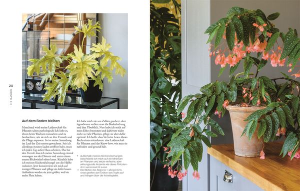 Urban Jungle Style