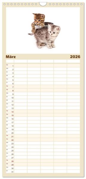 Produktbild: Familienplaner 2026 - Katzenbabys mit 5 Spalten (Wandkalender, 21 x 45 cm) CALVENDO