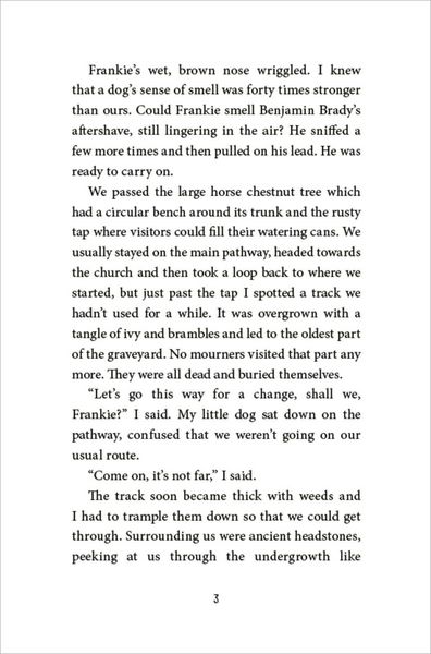 Produktbild: The Magpie Riddle: a Goldfish Boy Mystery