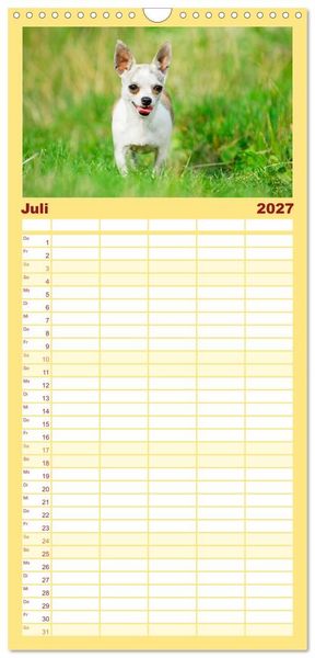 Produktbild: Familienplaner 2027 - Enegieb&uuml;ndel Chihuahua - Temperament auf vier Pfoten mit 5 Spalten (Wandkalender, 21 x 45 cm) CALVENDO