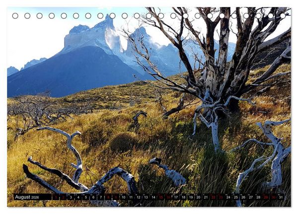 Produktbild: Patagonien - Parques Torres del Paine und Los Glaciares (Tischkalender 2026 DIN A5 quer), CALVENDO Monatskalender