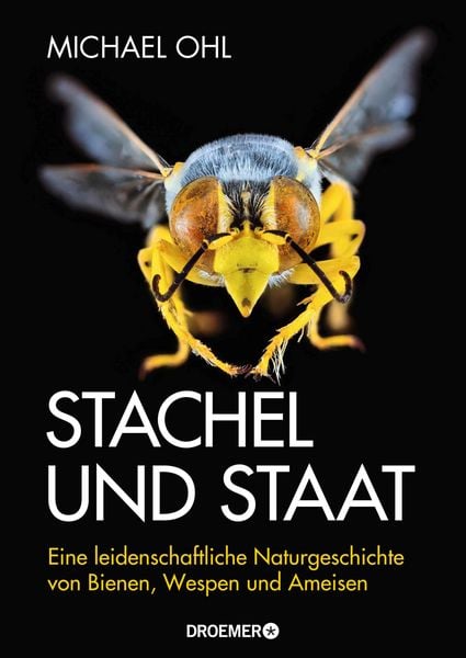 Produktbild: Stachel und Staat