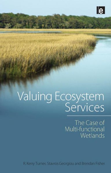 Produktbild: Valuing Ecosystem Services