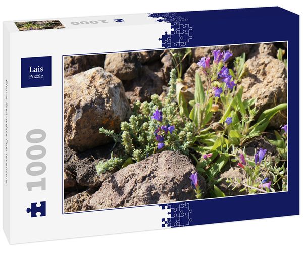 Produktbild: Lais Puzzle Blume Steinw&uuml;ste Fuerteventura 1000 Teile