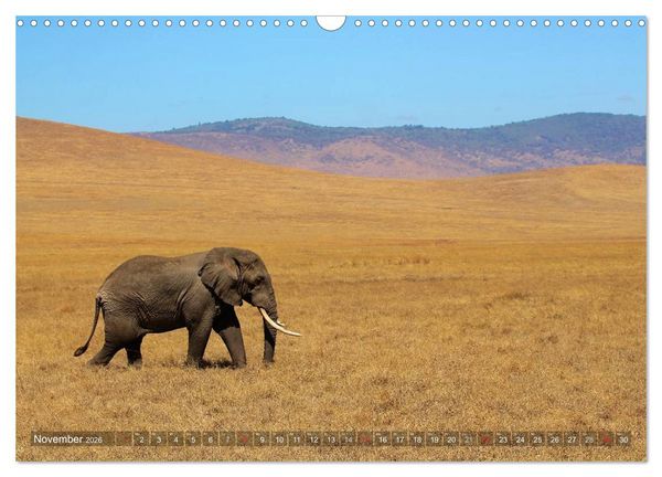 Produktbild: Tansania - Faszinierendes Afrika (Wandkalender 2026 DIN A3 quer), CALVENDO Monatskalender