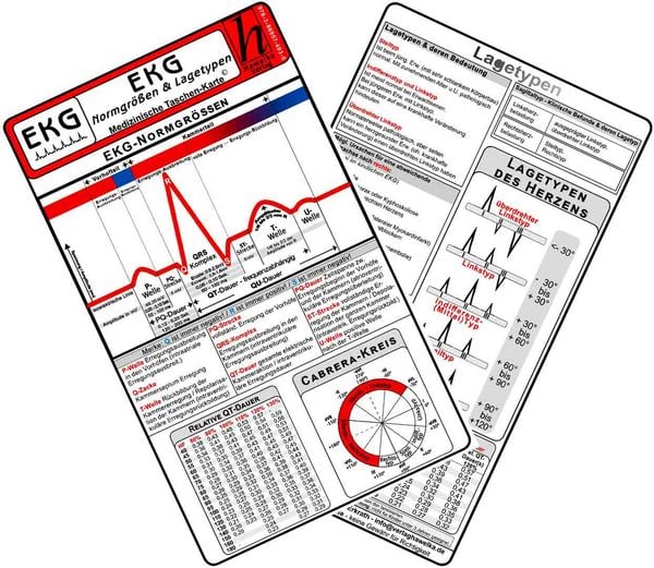 Produktbild: EKG Normgr&ouml;&szlig;en & Lagetypen 2025 - Medizinische Taschen-Karte