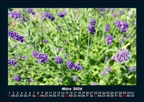Produktbild: Blumentr&auml;ume 2026 Fotokalender DIN A5