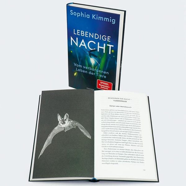 Produktbild: Lebendige Nacht