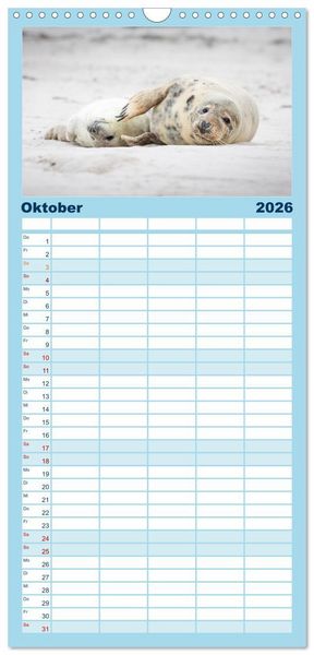 Produktbild: Familienplaner 2026 - Junge Kegelrobben mit 5 Spalten (Wandkalender, 21 x 45 cm) CALVENDO