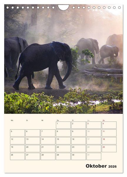 Produktbild: Kenia - Terminplaner (Wandkalender 2026 DIN A4 hoch), CALVENDO Monatskalender