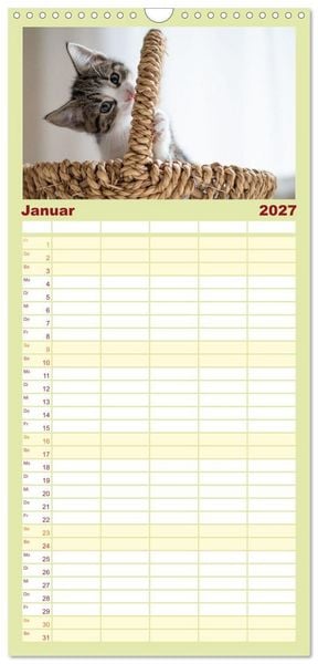 Produktbild: Familienplaner 2027 - Kitten auf Entdeckungsreise mit 5 Spalten (Wandkalender, 21 x 45 cm) CALVENDO