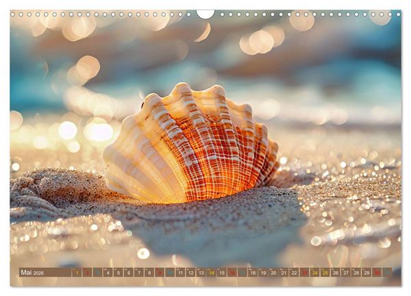Produktbild: Faszination Muscheln (Wandkalender 2026 DIN A3 quer), CALVENDO Monatskalender