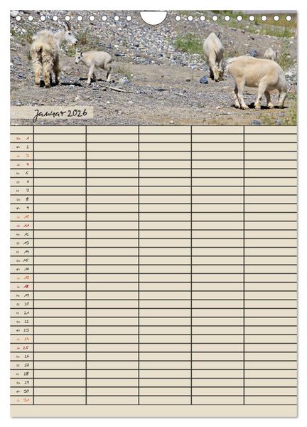 Produktbild: Tierischer Familienplaner (Wandkalender 2026 DIN A4 hoch), CALVENDO Monatskalender